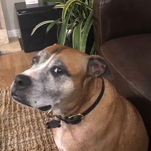 Meet your Posher, Monica